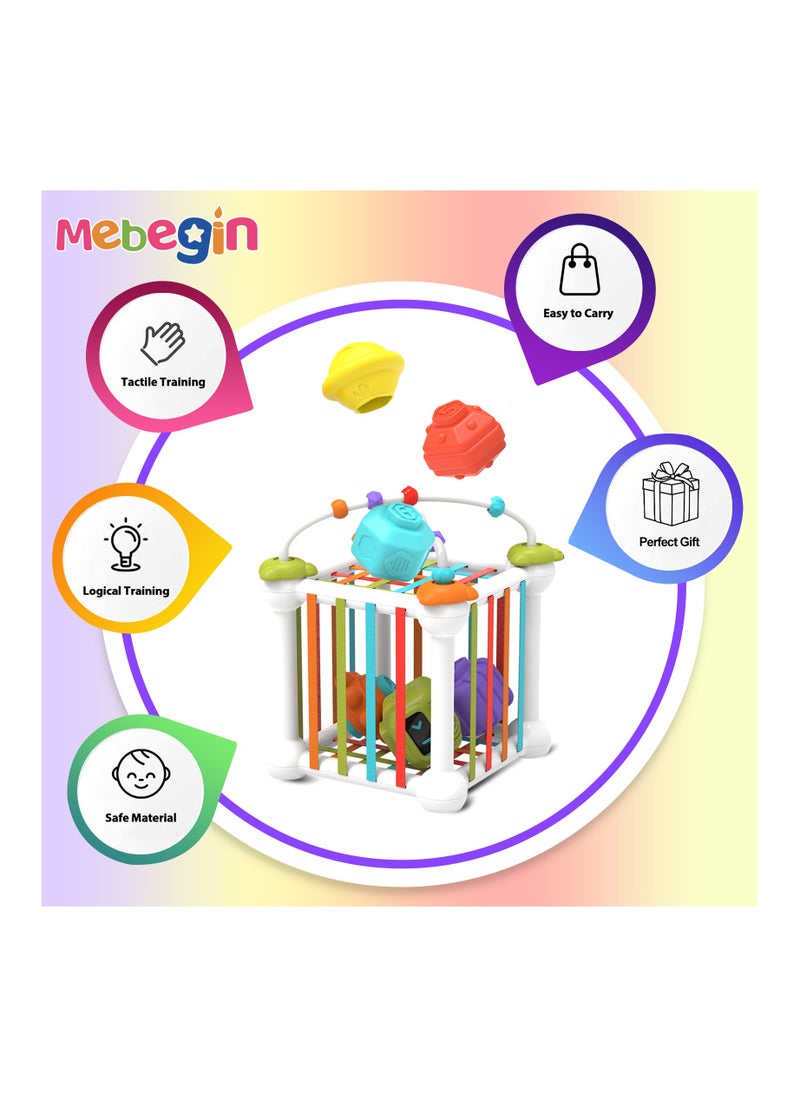Baby Shape Sorting Toy with Elastic Bands, Sensory Shape Toys for Toddler, Tactile Perception Training Toys with 6pcs Colorful Multisensory Shapes, Multifunctional Developmental Baby Toy, Ideal Toy for Babies on Birthday or Any Holidays