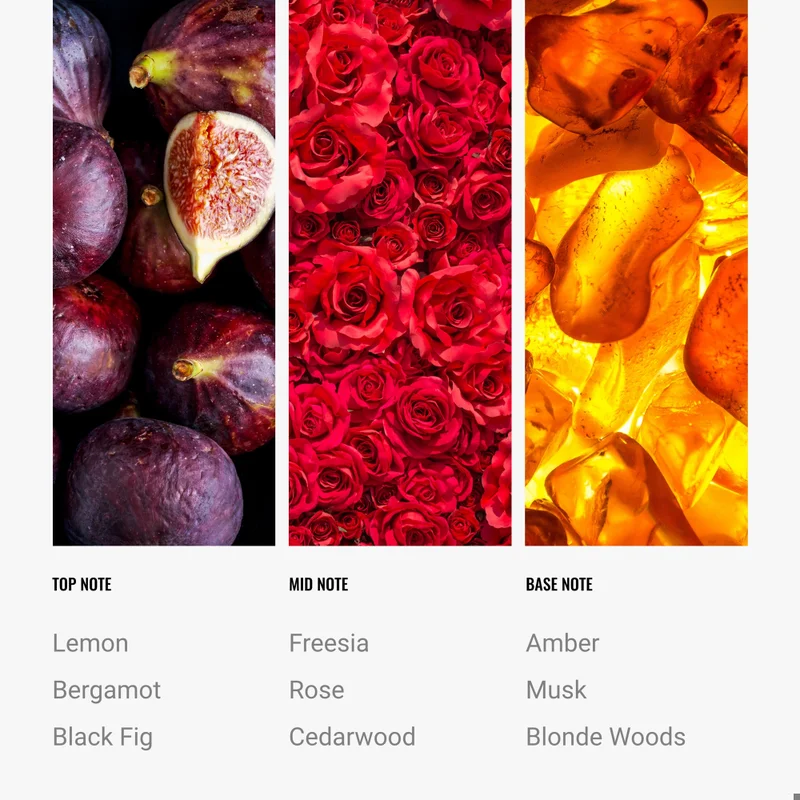 Hotel Collection  Black Velvet Fragrance Oil Blend - Hotel Inspired for Luxury Essential Oil Diffusers - Aromatherapy Scent Diffuser Oil - Blonde Woods, Rose, and Black Fig - 50 mL, 1.7 fl oz  | Best Price UAE
