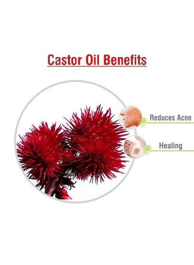 CRYSALIS Castor (Ricinus Communis) Oil|100% Pure & Natural Undiluted Carrier Oil Organic Standard For Skin & Haircare -100Ml - Image 3
