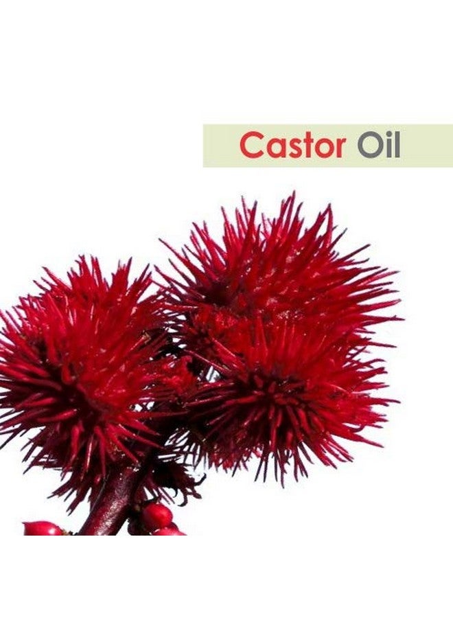 CRYSALIS Castor (Ricinus Communis) Oil|100% Pure & Natural Undiluted Carrier Oil Organic Standard For Skin & Haircare -100Ml - Image 2