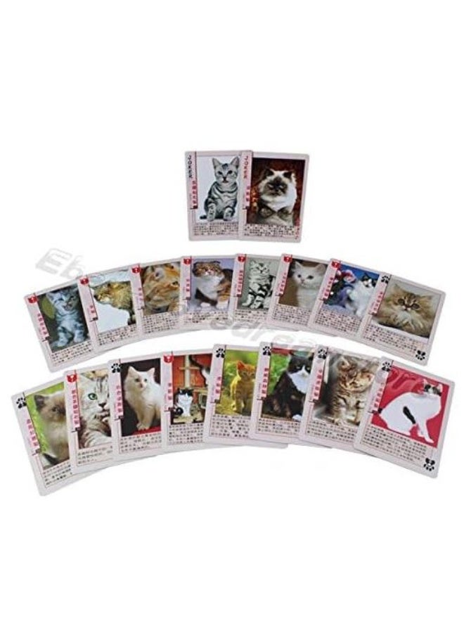 FAMOUS CAT Laminated Playing Cards with a Variety of Cat Card Picture includes 54 pieces of collection cards. - Image 3