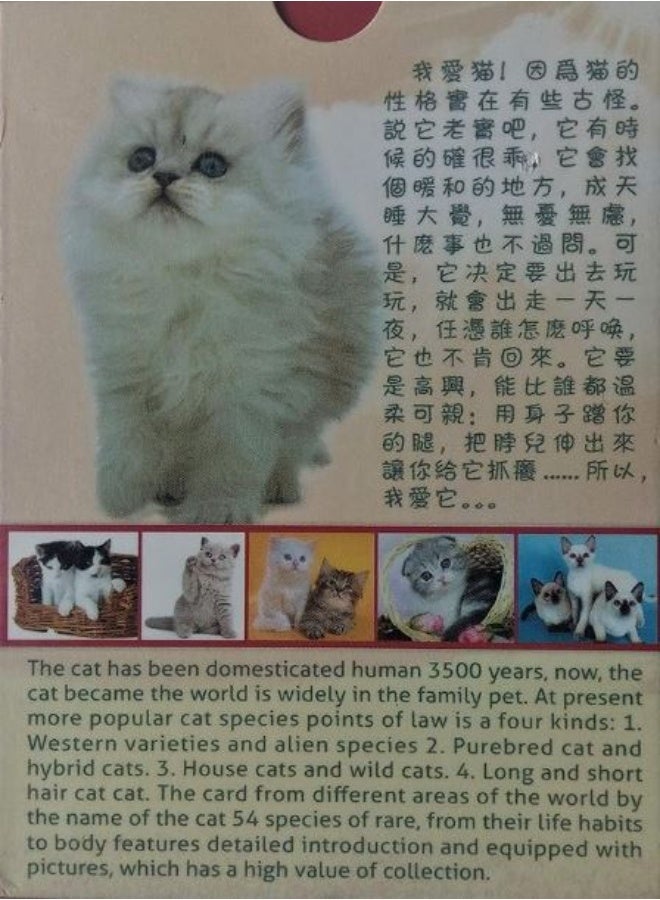 FAMOUS CAT Laminated Playing Cards with a Variety of Cat Card Picture includes 54 pieces of collection cards. - Image 2