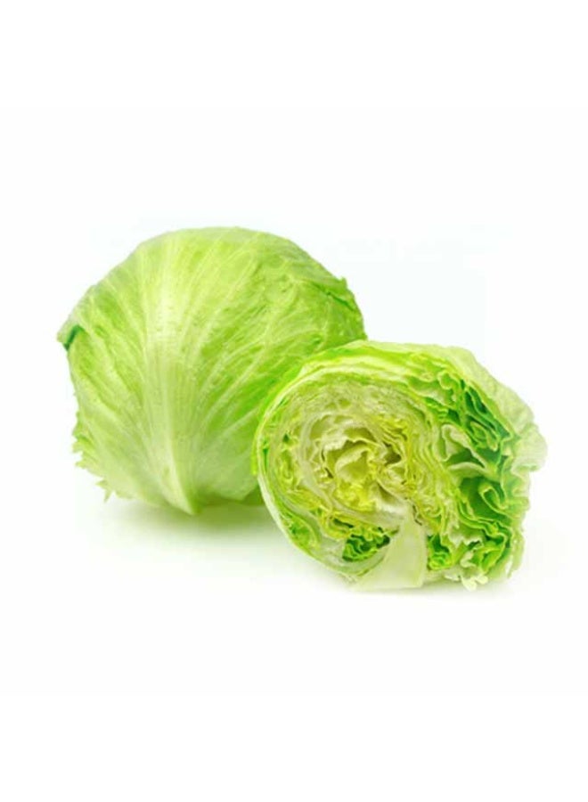 Iceberg Lettuce , 450g to 550g per piece, Spain