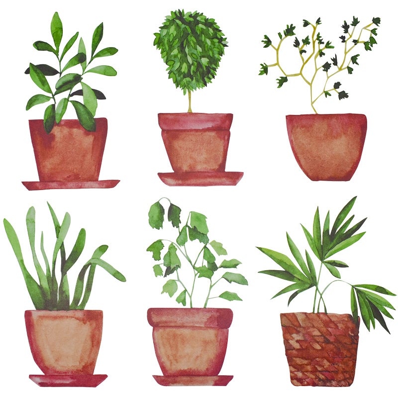 Maydahui 6 Sheets Freshness Green Plant Potted Wall Decals Plant Wall Stickers for Living Room Classroom Decor - Image 1