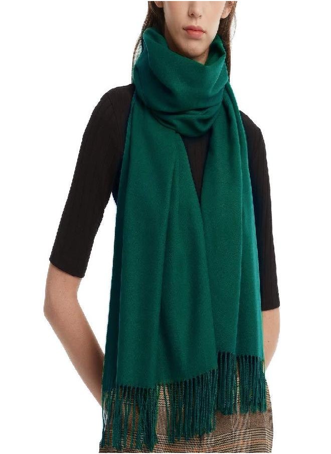 Furtalk FURTALK Womens Winter Scarf Cashmere Feel Pashmina Shawl Wraps Soft Warm Blanket Scarves for Women (One size, Green)  - Image 4