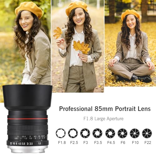 Andoer 85mm F1.8 Large Aperture Medium Telephoto Full Frame Portrait Camera Lens Manual Focus EF Mount Replacement for Canon EOS Rebel T8i T7i T6 T3i T2i 4000D 2000D 1300D 850D 800D 600D 550D 90D 80D - Image 4