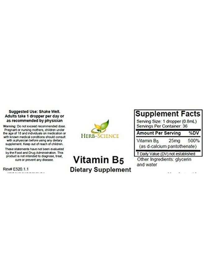 Herb-Science Vitamin B5 Drops Pantothenic Acid, Alcohol-Free Liquid Extract Maintain Healthy Hormones, Support Heart Health, Help Keep Skin and Hair Healthy and Support Immune System - Herb-Science - Image 2
