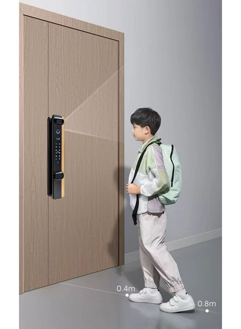 L688 Smart Door Lock with Face Recognition, Password, Fingerprint, IC Card, Key, and App Unlocking Method - Image 3