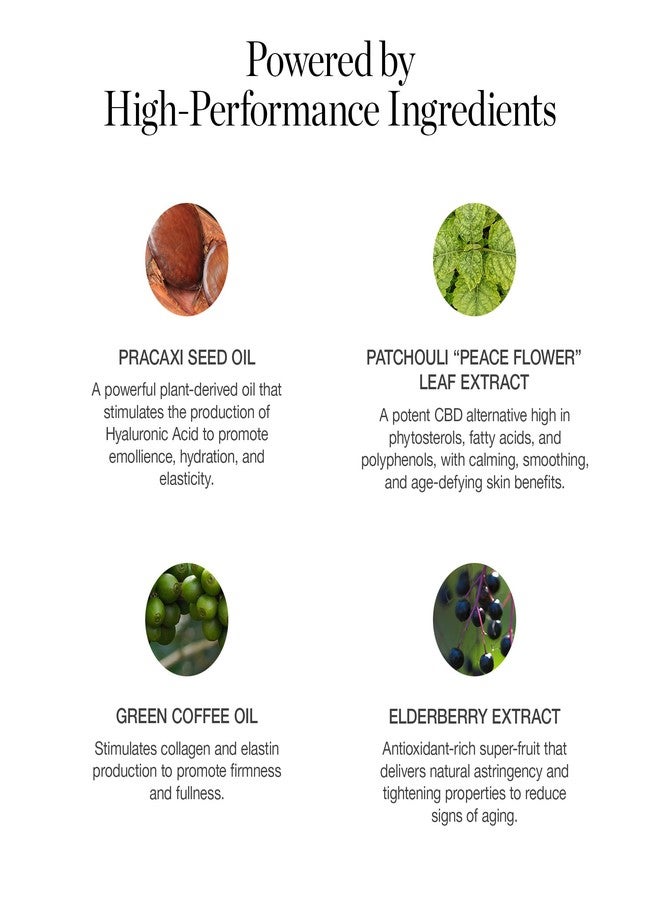 Ogee Sculpted Complexion Foundation Stick (Banyan 2.75W - Medium Light, Golden Undertones) Full Coverage Foundation Makeup - Instantly Balance & Even Complexion - 70% Organic Ingredients - Image 3