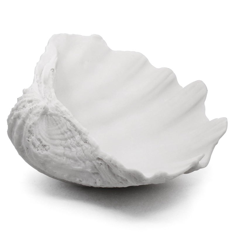 Accessoryway Extra Large Clam Shells Decorative BowlWhite Sea Shells Decorative Storage Bowls for Coastal Beach theme house table centerpiece decorations Nautical decor for coffee table1241PC