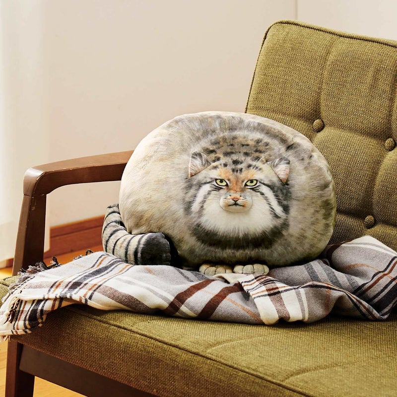 Sew Butiful Steppe Cat Plush 35cm/14inch Pallas Cat Stuffed Animal , Cute Plushies for Girls, Soft Plush Pillow , Throw Pillow Doll Decoration Doll Birthday Gift for Kids, Boys, Girls Birthday Christmas - Image 5