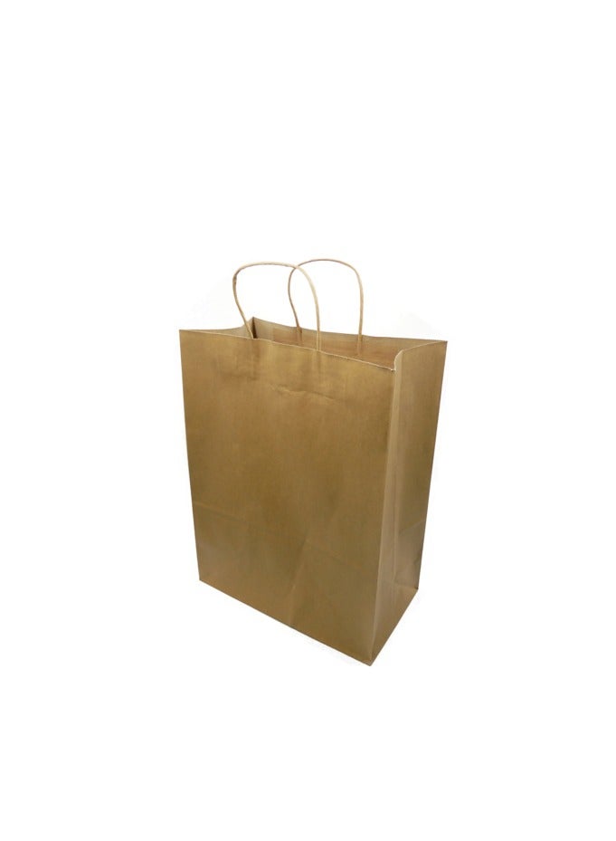 PARTY FUN Paper Gift Bag 10Pcs Pkt 12x6x15Cm Brown Color  - Image 1