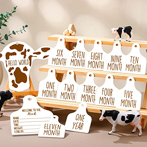 Maitys 14 Pieces Cow Baby Monthly Milestone Cards Rustic Wooden Ornament Herd Signs Cattle Newborn Photography Props to Record Your Babys Growth Gift for Pregnancy and Baby Shower White - Image 3