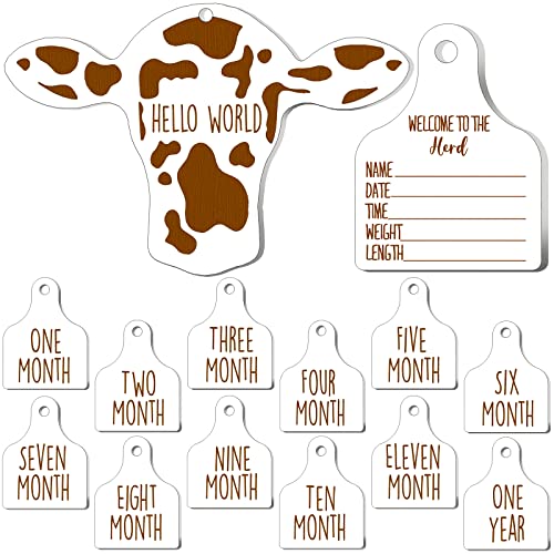 Maitys 14 Pieces Cow Baby Monthly Milestone Cards Rustic Wooden Ornament Herd Signs Cattle Newborn Photography Props to Record Your Babys Growth Gift for Pregnancy and Baby Shower White - Image 1