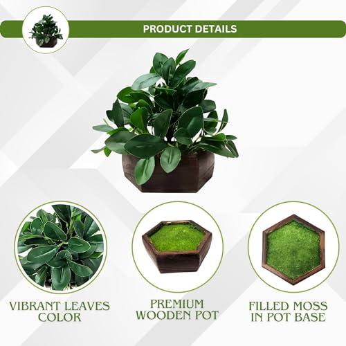 fancymart Artificial Ficus Leaves in Wood Hexagon Pot - 20cm Height - Home & Office Decor Elegant Potted Plant for Tabletop Enhancement (Pack of 1) - Image 5