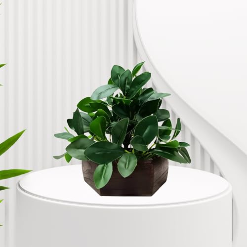 fancymart Artificial Ficus Leaves in Wood Hexagon Pot - 20cm Height - Home & Office Decor Elegant Potted Plant for Tabletop Enhancement (Pack of 1) - Image 4