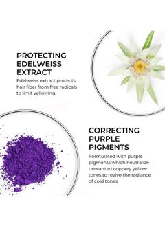 Phyto Paris Purple Repairing No Yellow Mask Deep Hydration For Gray Hair White Hair And Bleached Blonde Hair 6.76 Fl.Oz.  - Image 3