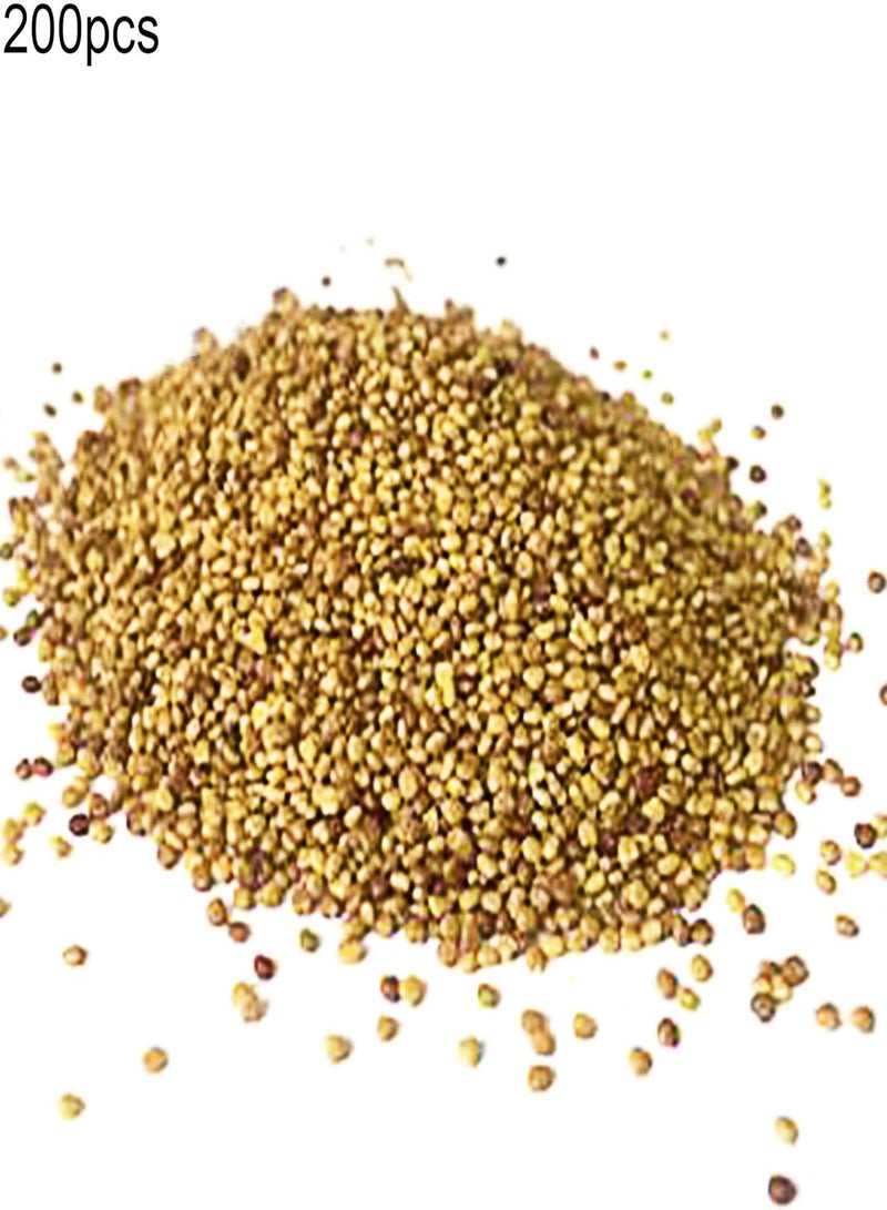 GGOOT 200Pcs/Bag Hosta Seeds, DIY Decorative Mixed Color Fragrant Hosta Plantaginea Bonsai Seeds for Outdoor White Hosta Seeds - Image 3