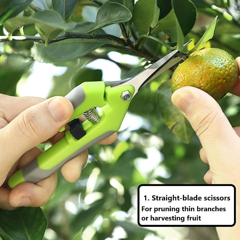KARLOR Pack of 2 Secateurs, Stainless Steel Rose Shears, Flower Shears, Plant Shears for Branches and Fruit Harvesting, Tree Shears, Hedge Shears for Gardening - Image 3