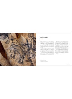 Chauvet Cave: Humanity's First Great Masterpiece  - Image 2