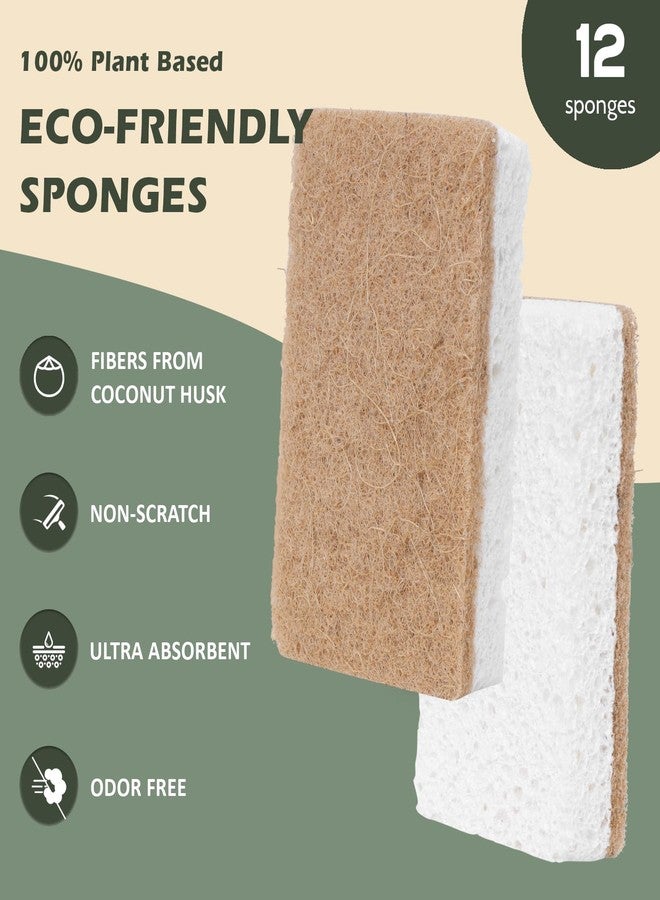 Isshah Plant-Based Kitchen Sponges - FSC Certified and PETA Approved, Natural, Eco-Friendly, Biodegradable Sisal Hemp Sponges for Dishes, Cleaning Sponge for Kitchen, Bathroom, Household - 12 Count - Image 2