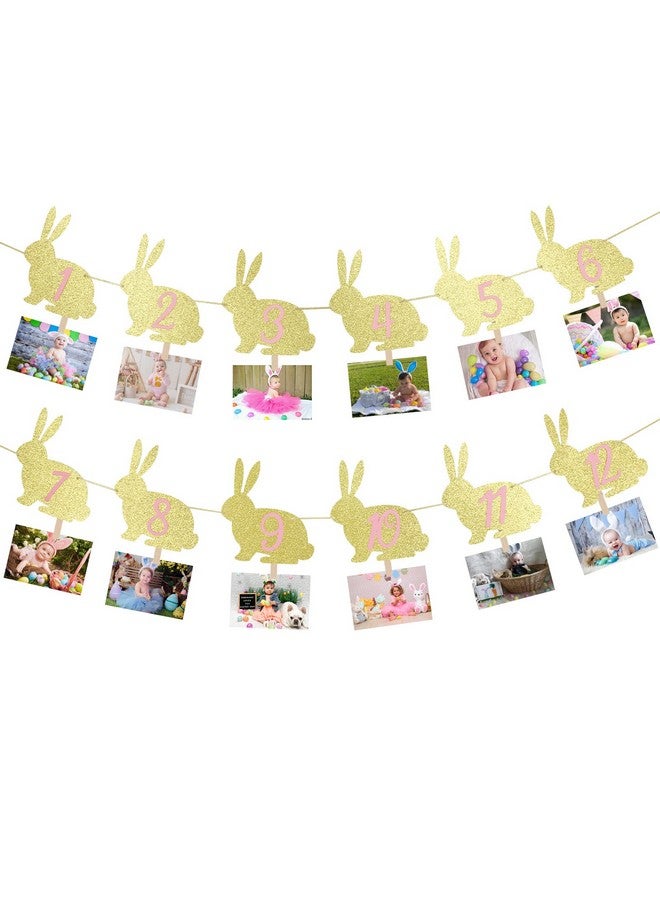 LeeSky Some Bunny is One Photo Banner Bunny 1st Birthday Monthly Milestone Photo Banner Some Bunny is One to 12 Months Photo Banner for Easter Bunny First Birthday Party Decorations - Image 1