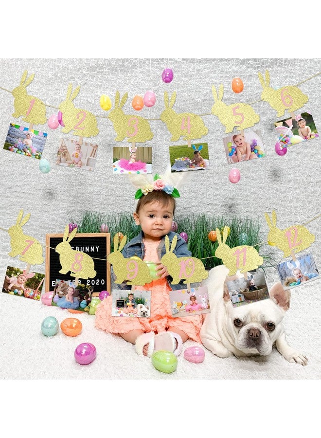LeeSky Some Bunny is One Photo Banner Bunny 1st Birthday Monthly Milestone Photo Banner Some Bunny is One to 12 Months Photo Banner for Easter Bunny First Birthday Party Decorations - Image 2