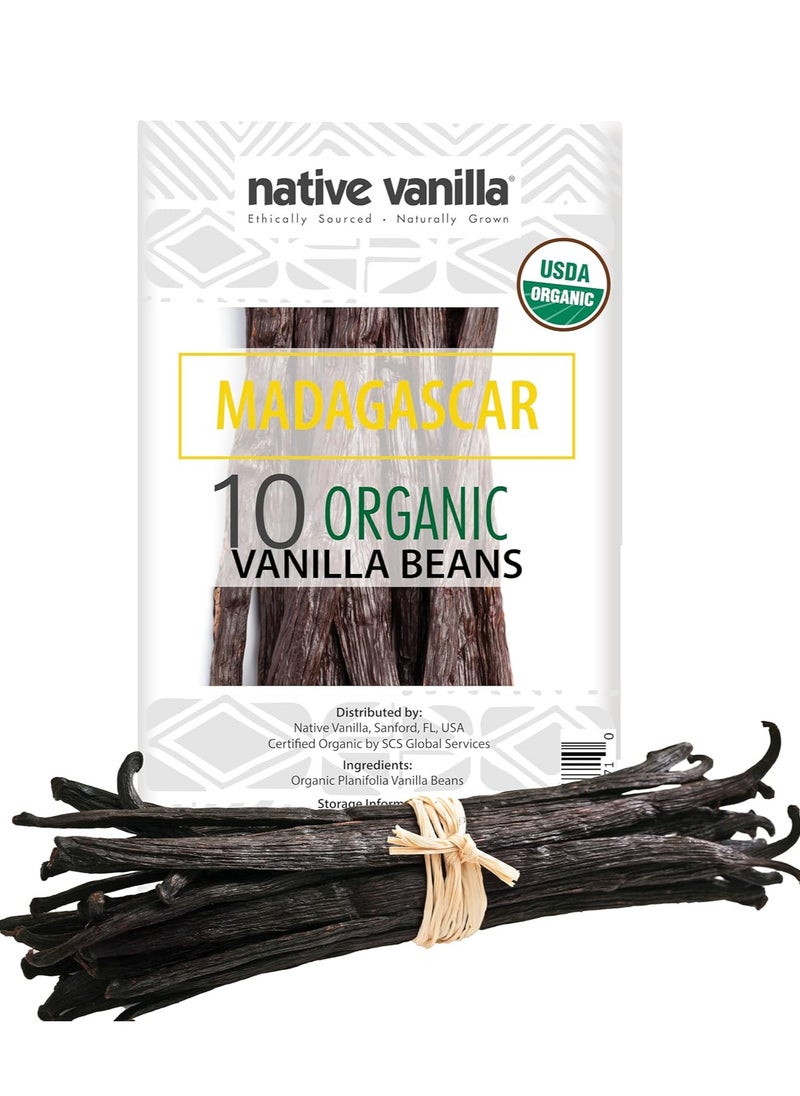 native Madagascar Beans - Gourmet Grade A Premium 10 Pods 