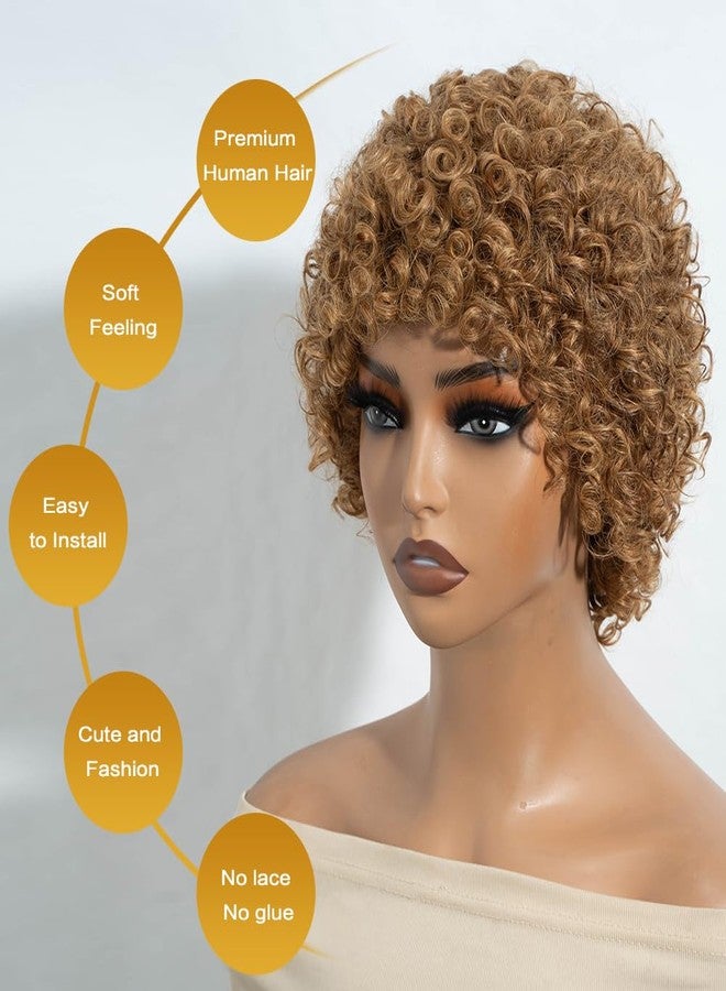 JOEDIR HAIR Afro Wig Human Hair Wigs for Black Women Kinky Curly Short Glueless Wig (27) - Image 2