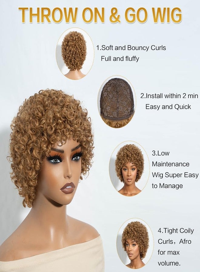 JOEDIR HAIR Afro Wig Human Hair Wigs for Black Women Kinky Curly Short Glueless Wig (27) - Image 3
