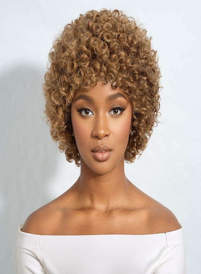 JOEDIR HAIR Afro Wig Human Hair Wigs for Black Women Kinky Curly Short Glueless Wig (27) - Image 1