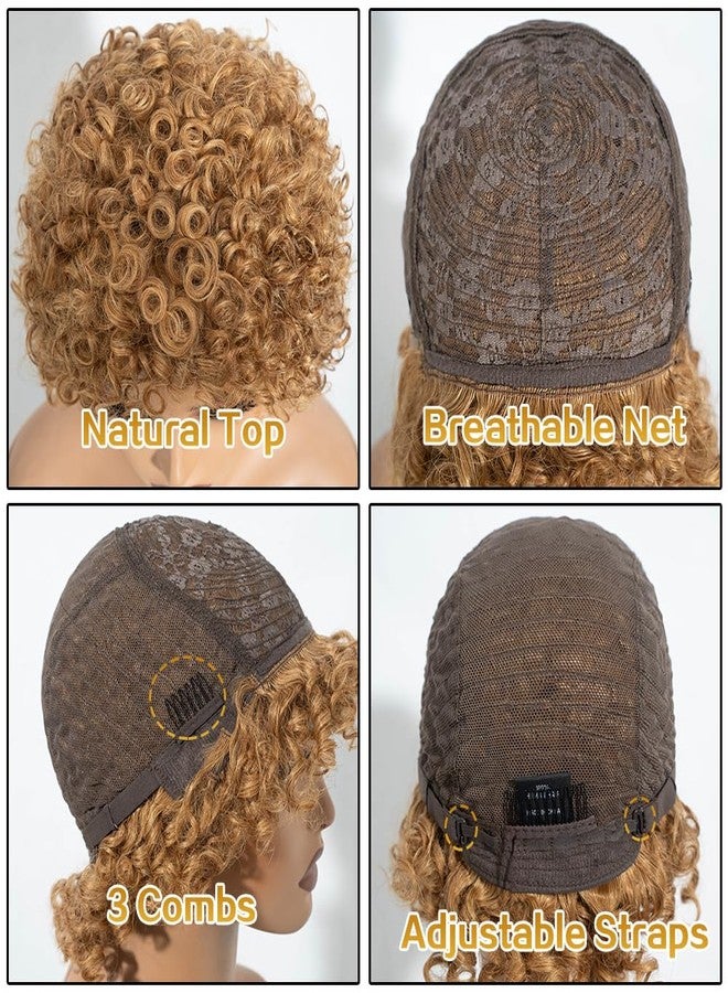JOEDIR HAIR Afro Wig Human Hair Wigs for Black Women Kinky Curly Short Glueless Wig (27) - Image 5
