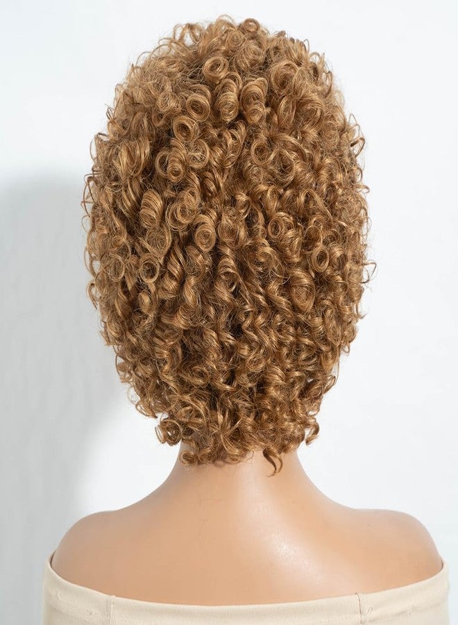 JOEDIR HAIR Afro Wig Human Hair Wigs for Black Women Kinky Curly Short Glueless Wig (27) - Image 4