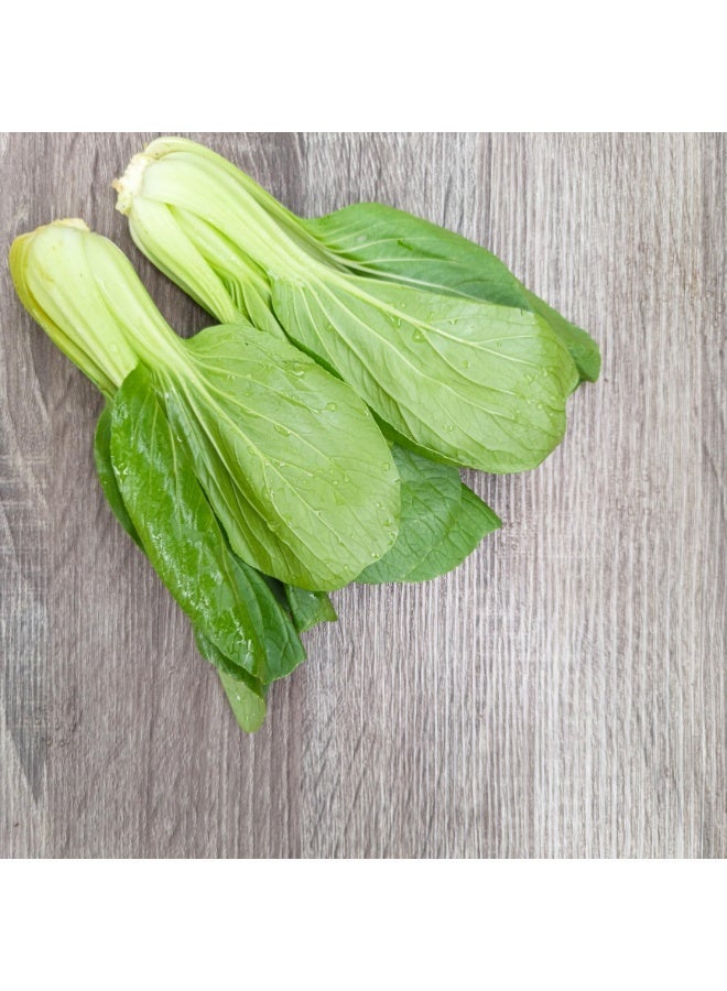 ڤسيل24 عبوة من 3 بذور بوك تشوي، كرنب صيني عضوي، للزراعة المنزلية. بذور خضراوات غير معدلة وراثيًا، بنسبة نقاء 95%، ونسبة إنبات 80%، وزن 10 غرام. - Image 4