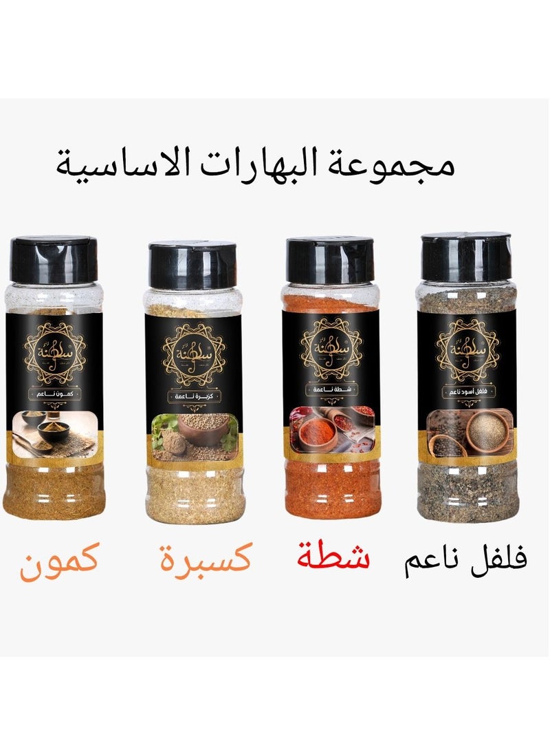 Saltana basic spices 265g Pack of 4 