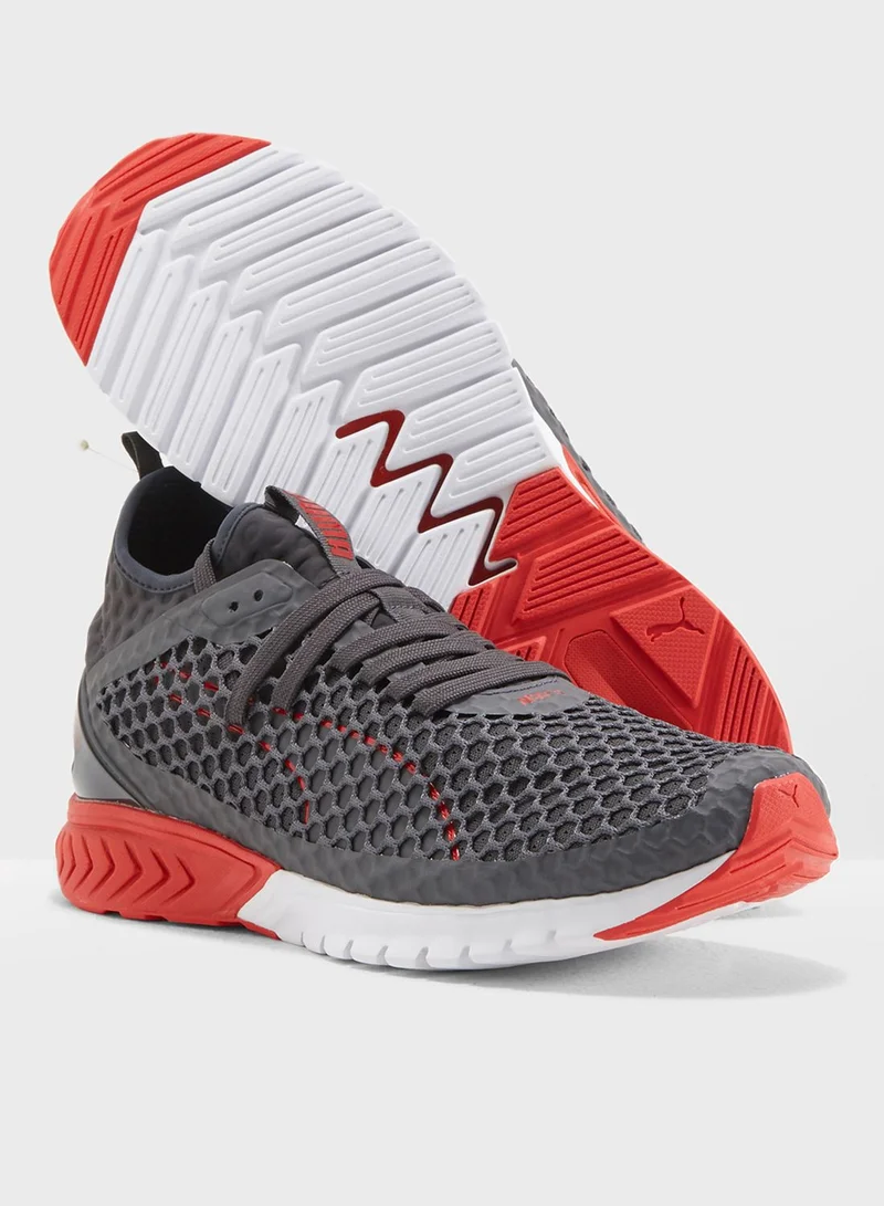 PUMA Ignite Dual Netfit