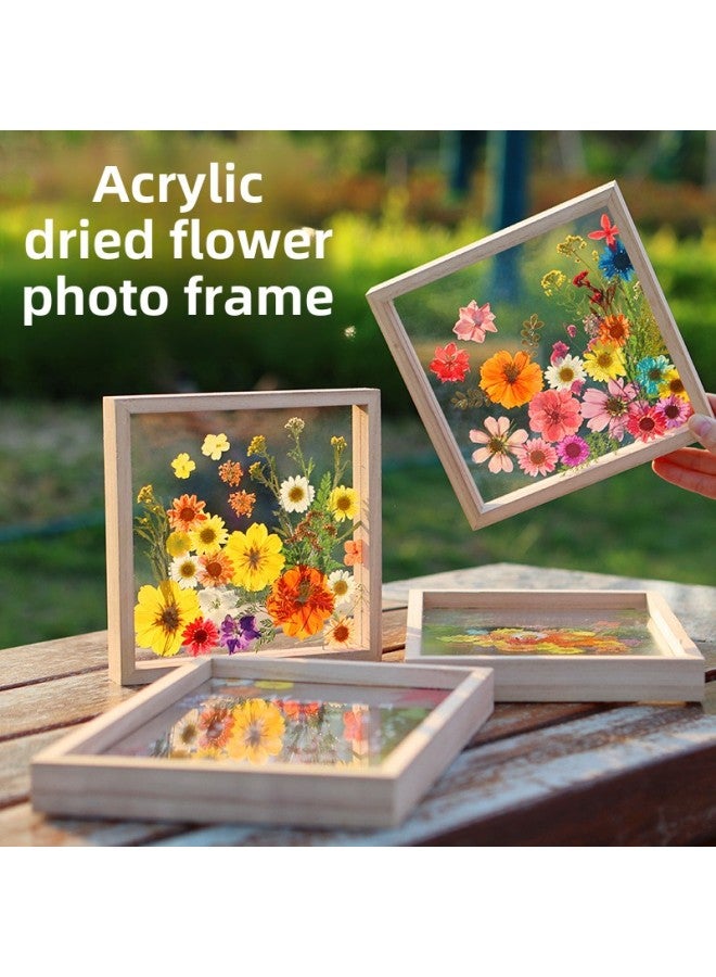 Acrylic Dried Flower Photo Frame Transparent Frame Handmade DIY Glass Painting Embossed Plant Specimen Solid Wood Display Frame-Color:Other Sizes - [20*20cm Single Layer] 1 Acrylic Glass Picture Frame  - Image 4