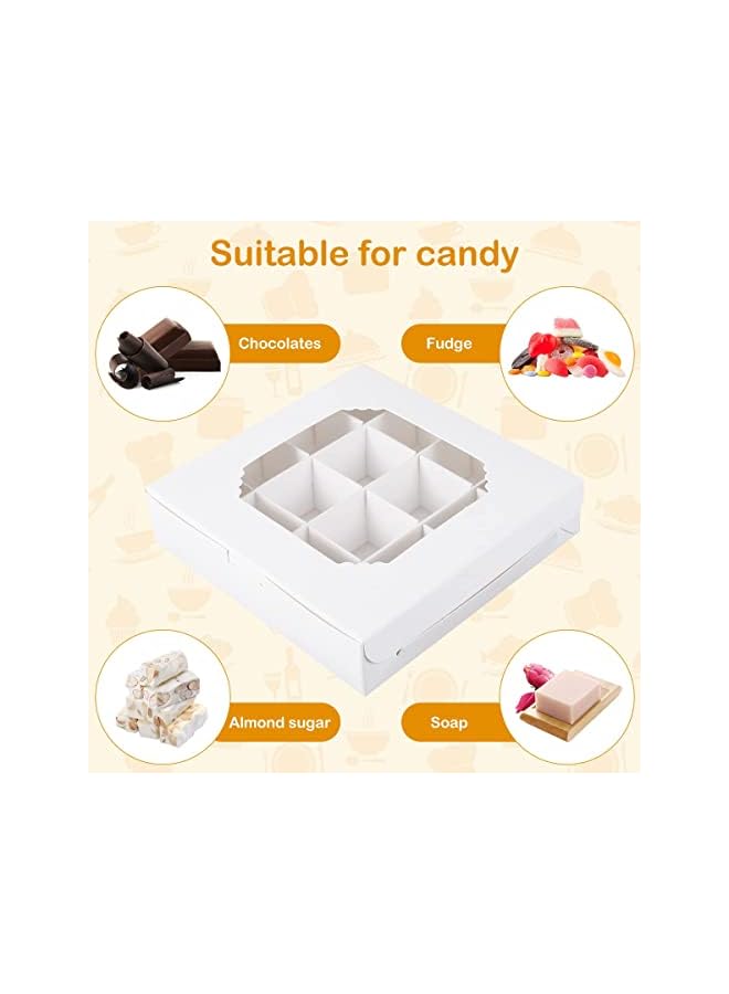 Green Tiger Cupcake Boxes, Windowed Empty Sweet Boxes with Insert Pick and Mix Cupcake Boxes for Sweets, Chocolates, Truffles, and Pastries Ôºà20PCS Ôºâ - Image 2