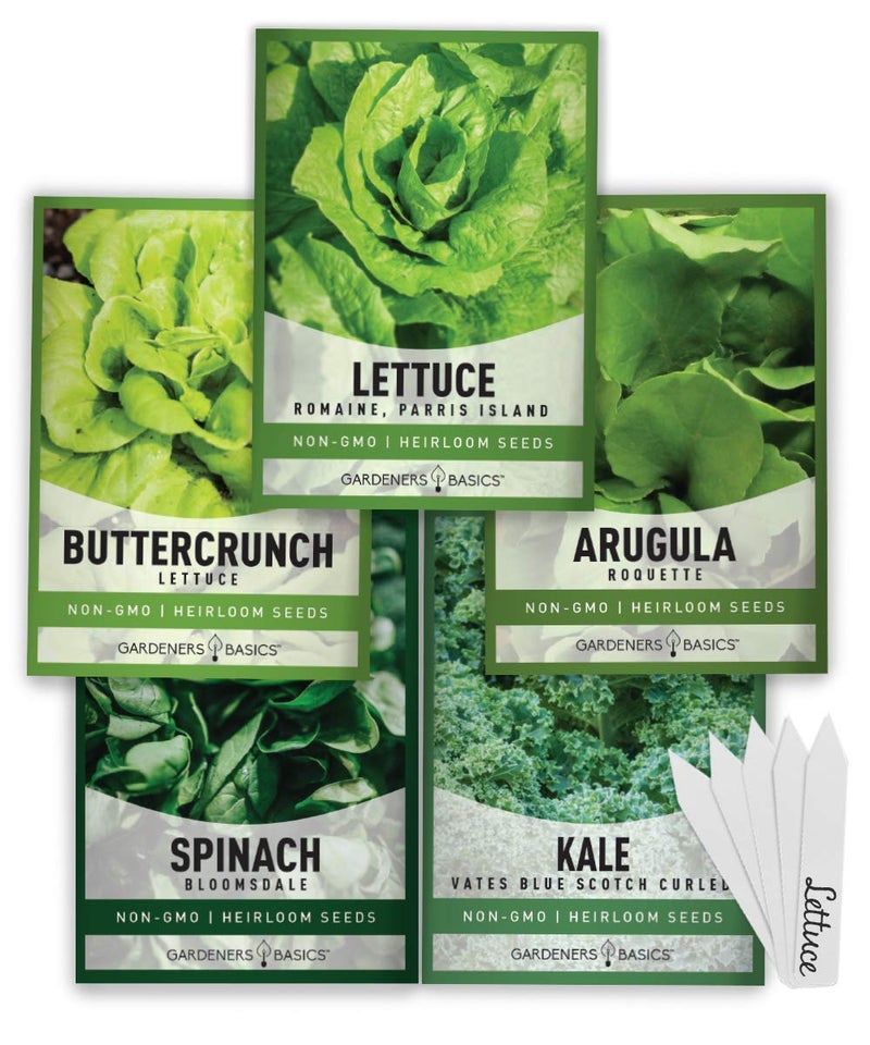 Gardeners Basics Lettuce and Greens Heirloom Vegetable Seed Non-GMO Seeds for Planting Indoors and Outdoor - Lettuce Buttercrunch, Romaine, Arugula, Kale and Spinach, Pack of 5 - Image 1