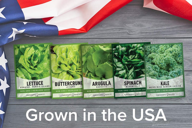 Gardeners Basics Lettuce and Greens Heirloom Vegetable Seed Non-GMO Seeds for Planting Indoors and Outdoor - Lettuce Buttercrunch, Romaine, Arugula, Kale and Spinach, Pack of 5 - Image 4