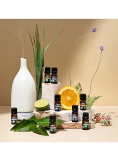 Cliganic Organic Basil Essential Oil 10ml, 100% Pure Natural Undiluted, For Aromatherapy, Non-GMO Verified  - Image 2