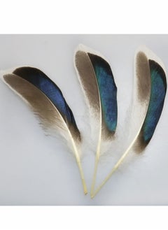 KASTWAVE 150 PCS Duck Feathers, Natural for DIY Craft Art, Decor Carnival   Handwork Clothing Costumes Hair Hats Crafts Home Wedding Party Decoration  - Image 5