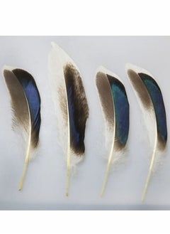 KASTWAVE 150 PCS Duck Feathers, Natural for DIY Craft Art, Decor Carnival   Handwork Clothing Costumes Hair Hats Crafts Home Wedding Party Decoration  - Image 4