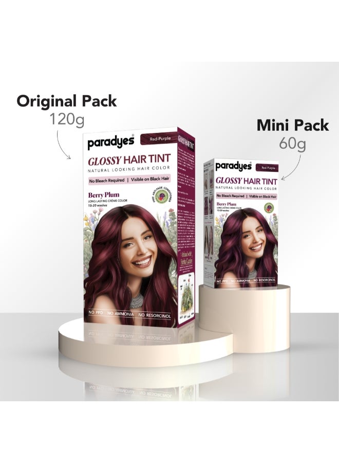 Paradyes Mini Berry Plum Glossy Hair Tint | No Bleach, Ammonia-Free | Trial Pack Perfect for Testing or Small Sections | Visible on Black Hair - Image 3