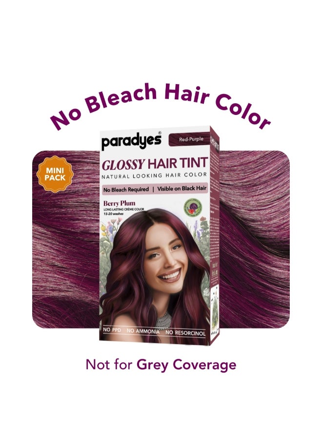 Paradyes Mini Berry Plum Glossy Hair Tint | No Bleach, Ammonia-Free | Trial Pack Perfect for Testing or Small Sections | Visible on Black Hair - Image 2