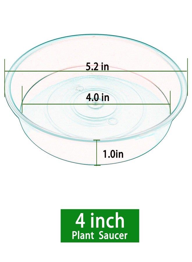 Bleuhome 6 Pack Plastic Plant Saucer Water Drip Tray, 4 5 6 7 8 9 10 11 12 inch, Heavy Sturdy Plant Drainage Tray for Indoors Outdoor, Flower Saucers for Pots Base (4", Clear) - Image 2