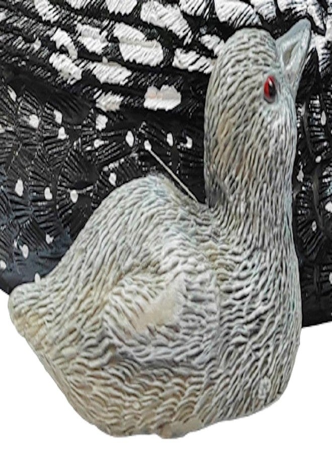 The Bridge Collection 4" Swimming Loon with Baby Figurine - Loon Decorations - Loon Family Figurine - Black and White Home Decor - Image 3