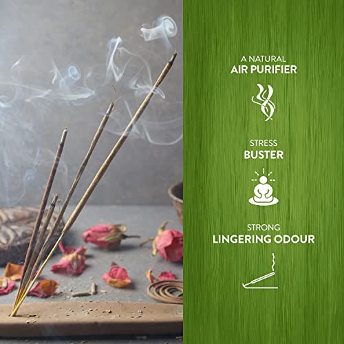 HEM Precious Patchouli Incense Cones | Long Lasting Aroma for Positivity & Pure Air | Aromatherapy Incense for Stress Relief, Air Purifier & Cleansing | Gift Set - Pack of 120 Cones - Image 4
