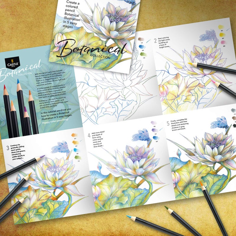 Castle Art Supplies Castle Arts Themed 24 Coloured Pencil Set in Tin Box, perfect colours for â€˜Botanicalâ€™ Art. Featuring quality, smooth coloured cores, superior blending & layering performance for great results - Image 5