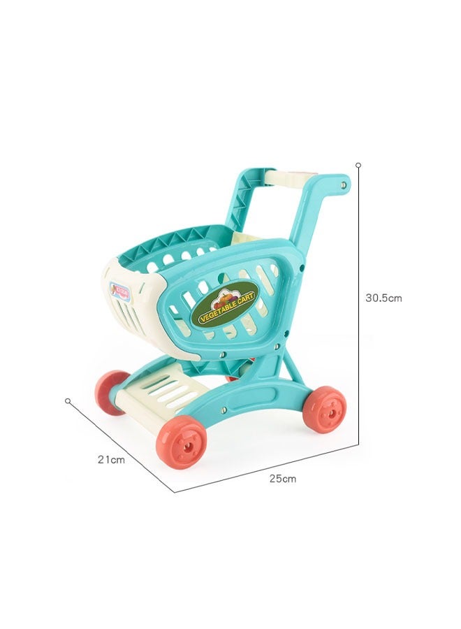 Kids Shopping Cart Trolley Play Set with Pretend Food and Accessories,Play Food Role Play Educational Toy,Perfect for Ages 3+ Pretend Play and Role-Playing Games（Blue）  - Image 2